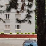 WhatsApp Image 2026-01-29 at 18.12.59